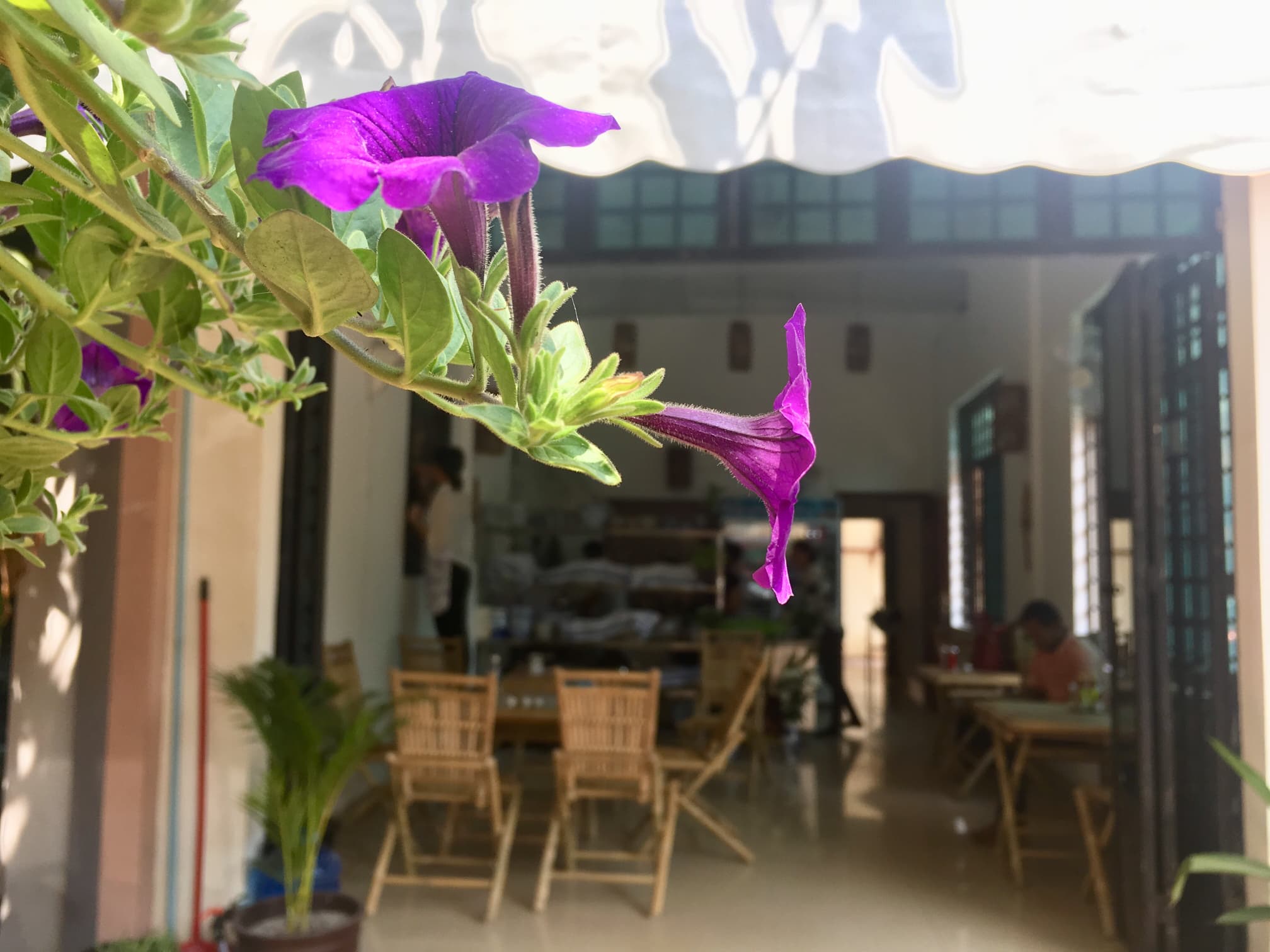 Restaurant entrance