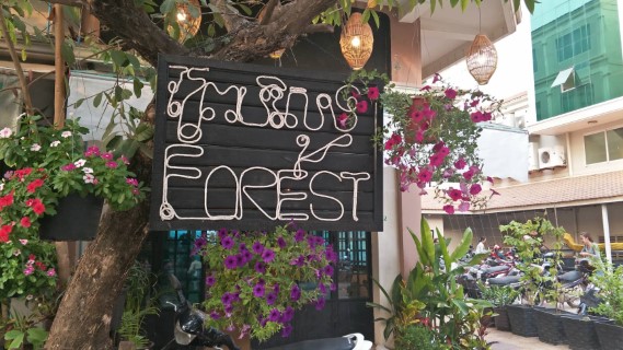 Forest entry